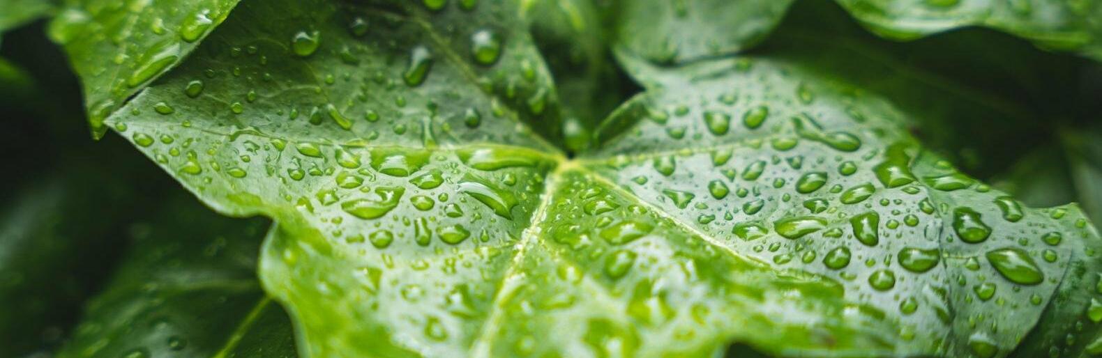 ����: inalmaty.kz