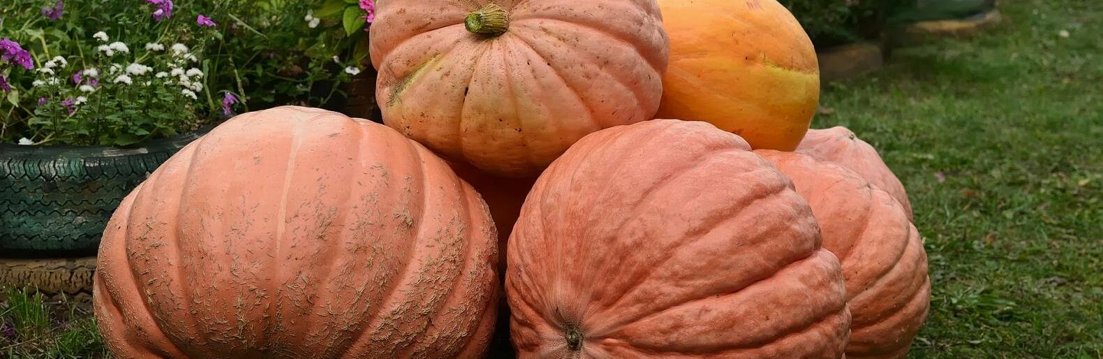 �� 19 �������� ����� ��������� � ������ 12 ��������