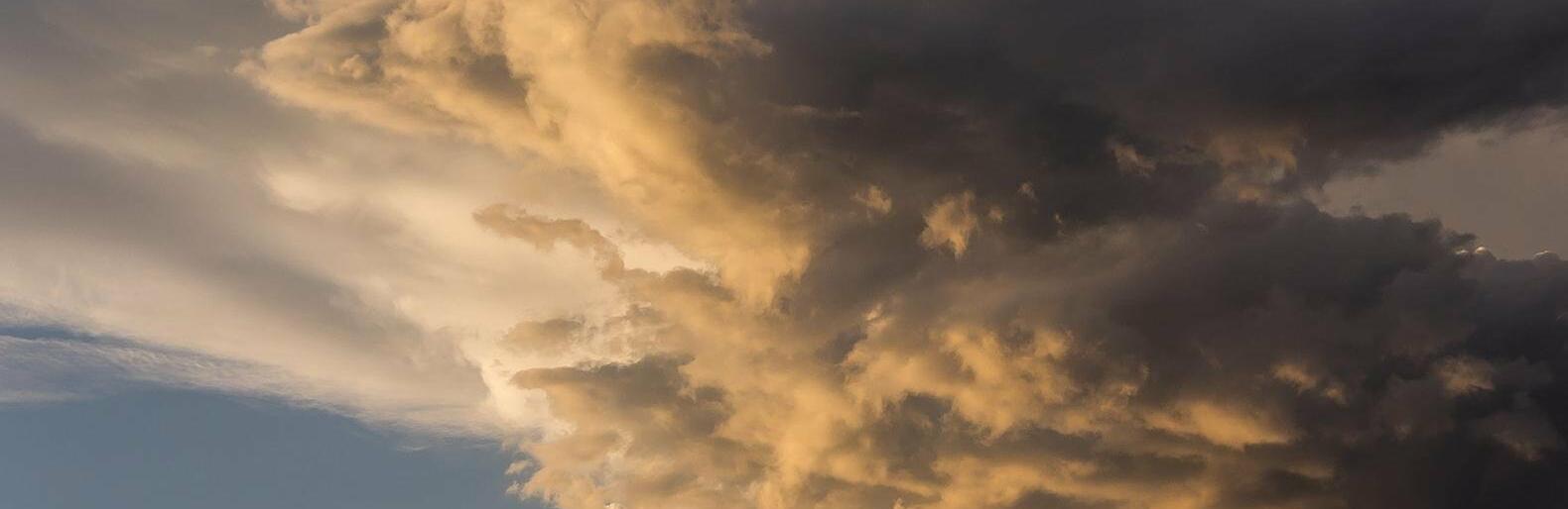 ����: inalmaty.kz