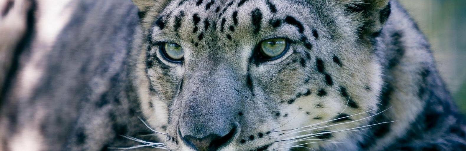 ����: inalmaty.kz