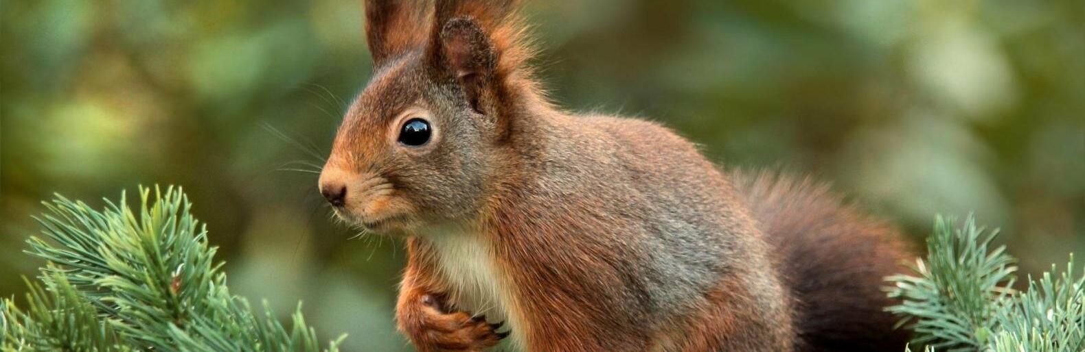 ����: inalmaty.kz