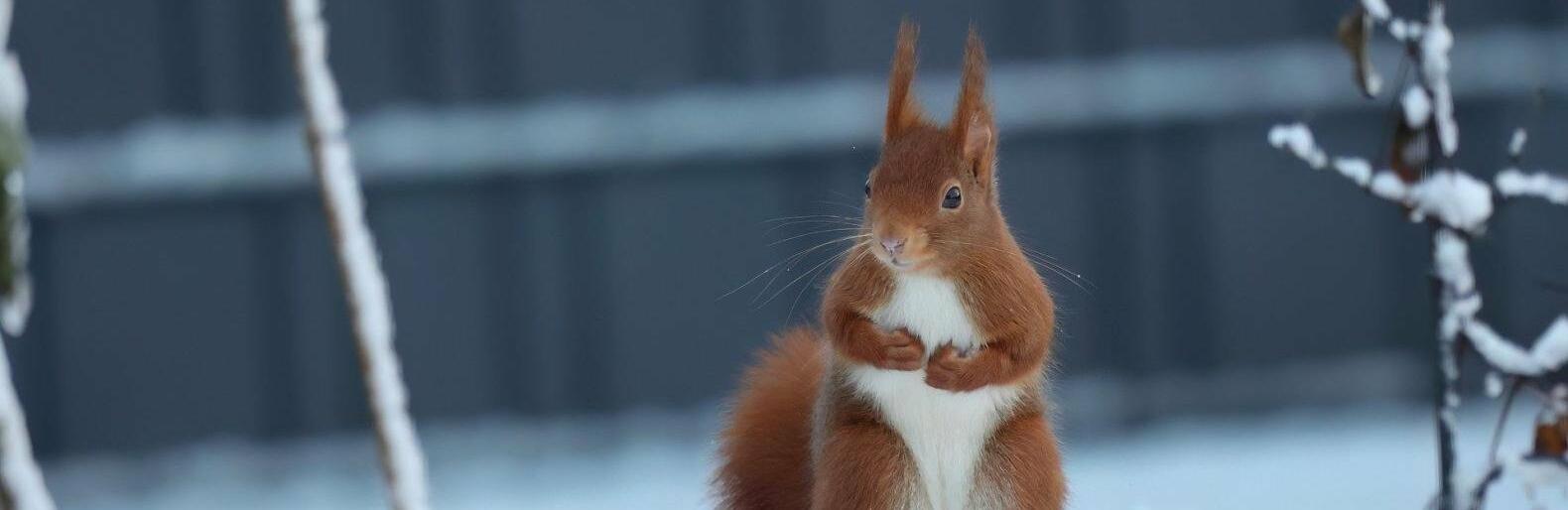 ����: inalmaty.kz