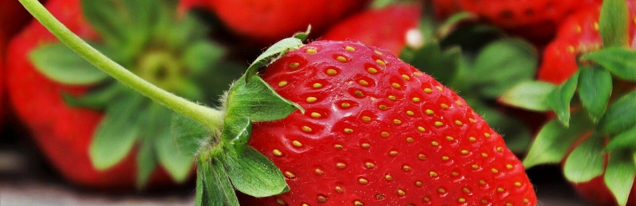  ����� �������� �������� ������ �������� ������������� ������ ������ 