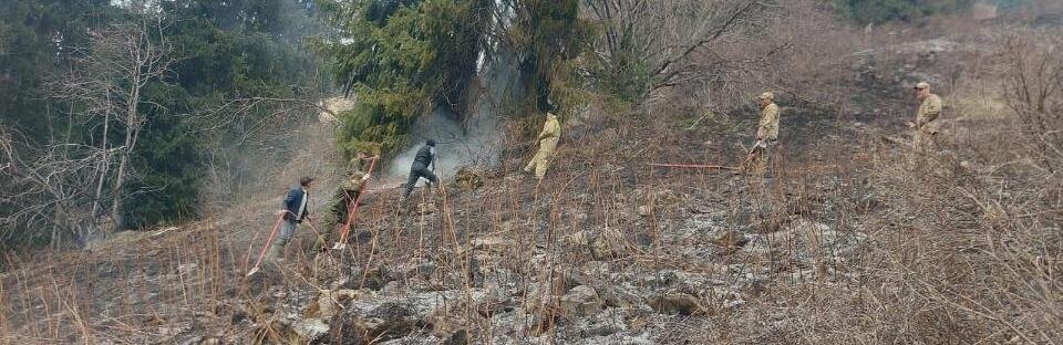 ����: inalmaty.kz