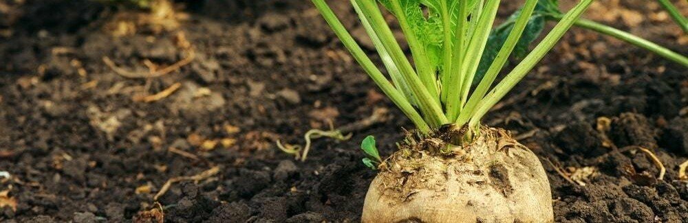  ������� ���������� ������� ����� ���������� �������� ������ 