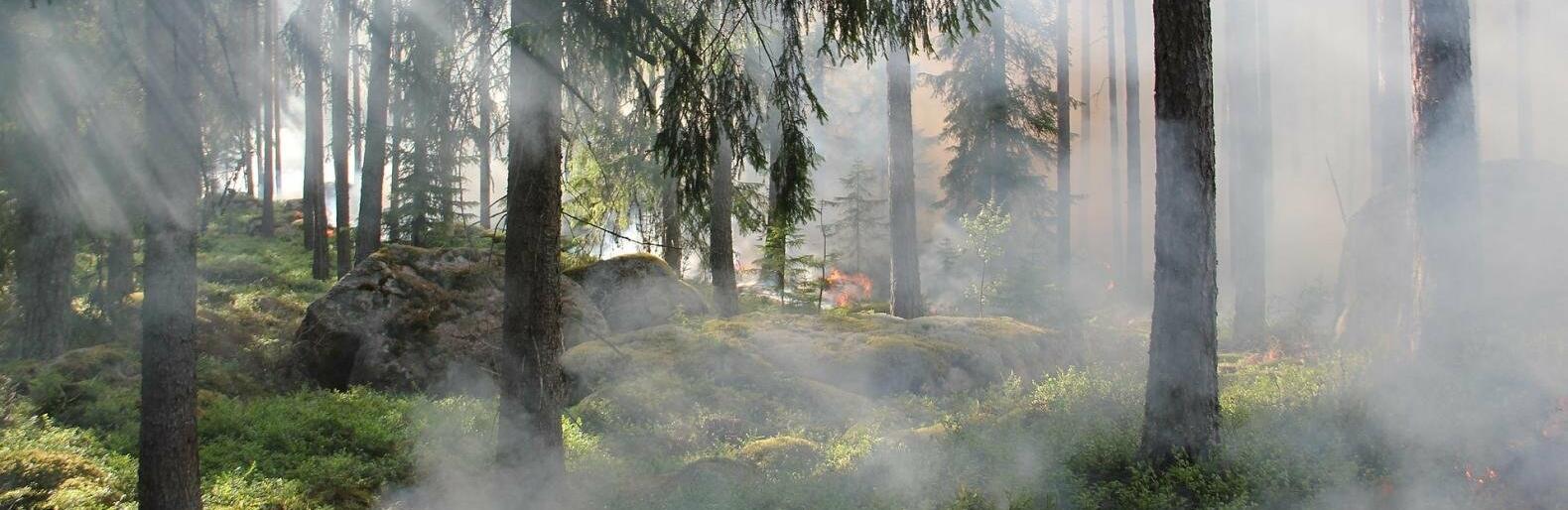 ����: inalmaty.kz