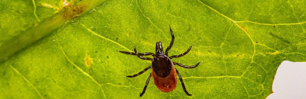 ����: inalmaty.kz