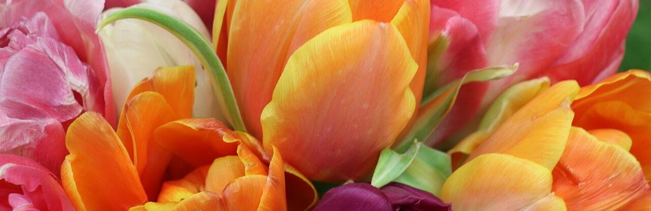 ����: inalmaty.kz