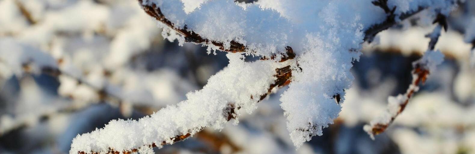 ������ �� ������� � ������