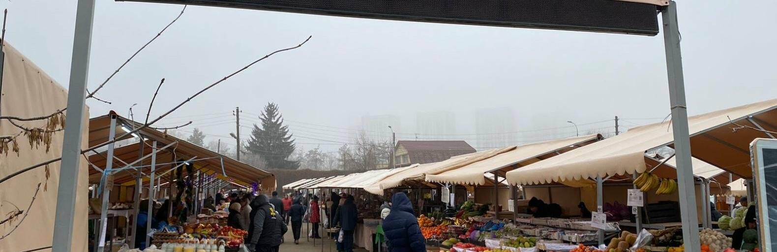 Фото: inalmaty.kz