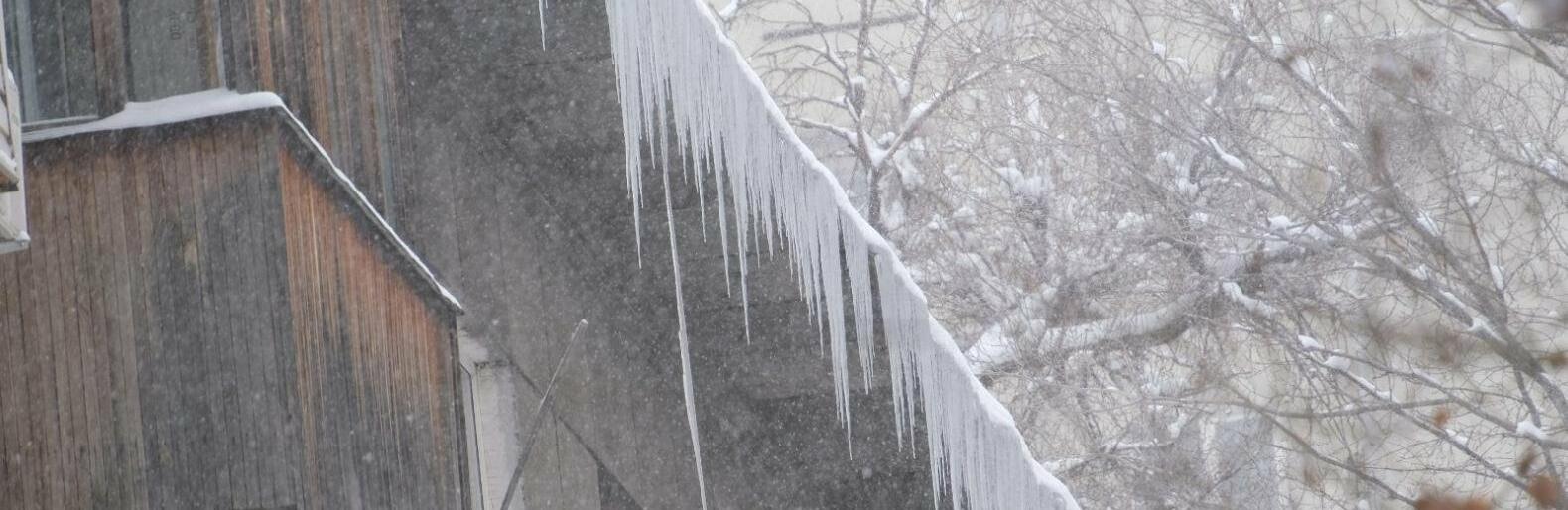 ����: inalmaty.kz