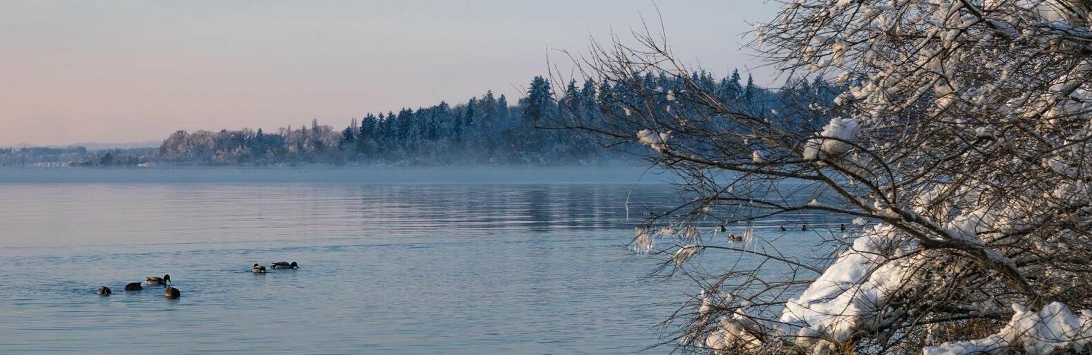  ��������� ������� ������ ������ �������������� ������ ����� 