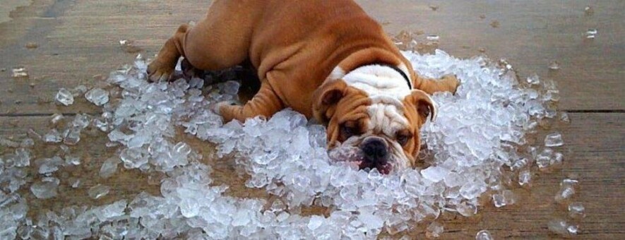  ���������� ���� ������ ������������� ������ 