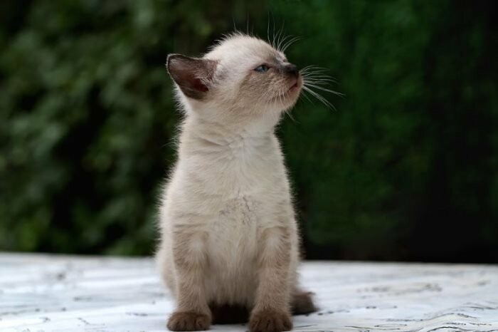 ���������� ���������� ��������� 29 ����� � ������