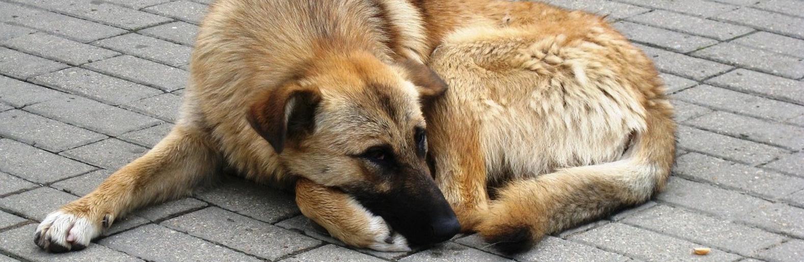  ������ ������������ ��������� ����� ������ ������ ���� ������� 