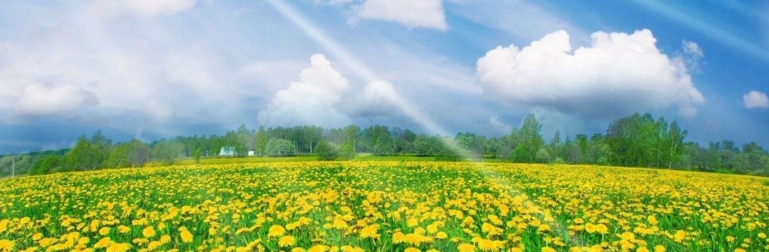 ����: inalmaty.kz