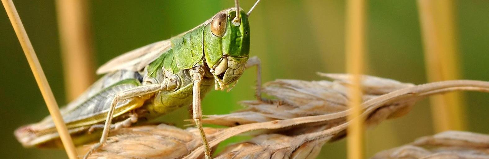 ����: inalmaty.kz