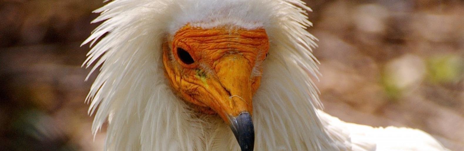 ����: inalmaty.kz