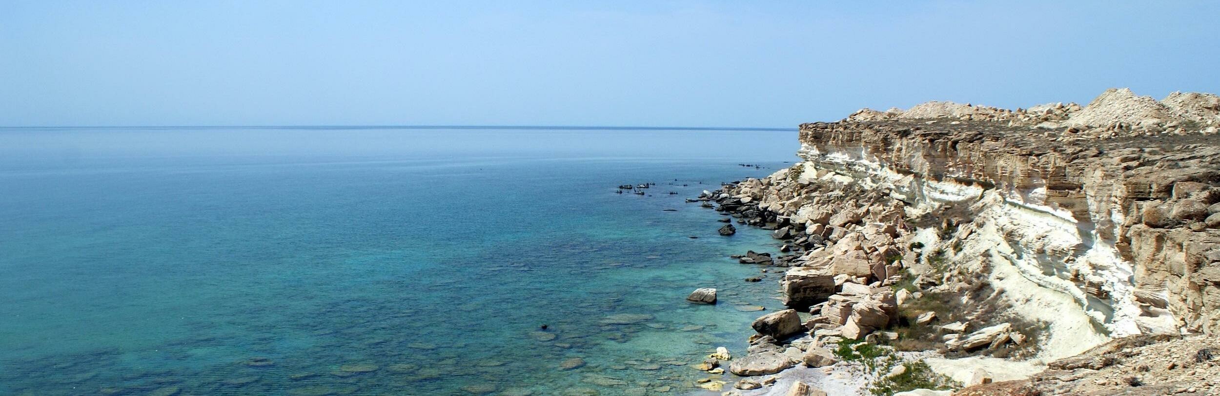 ����: inalmaty.kz