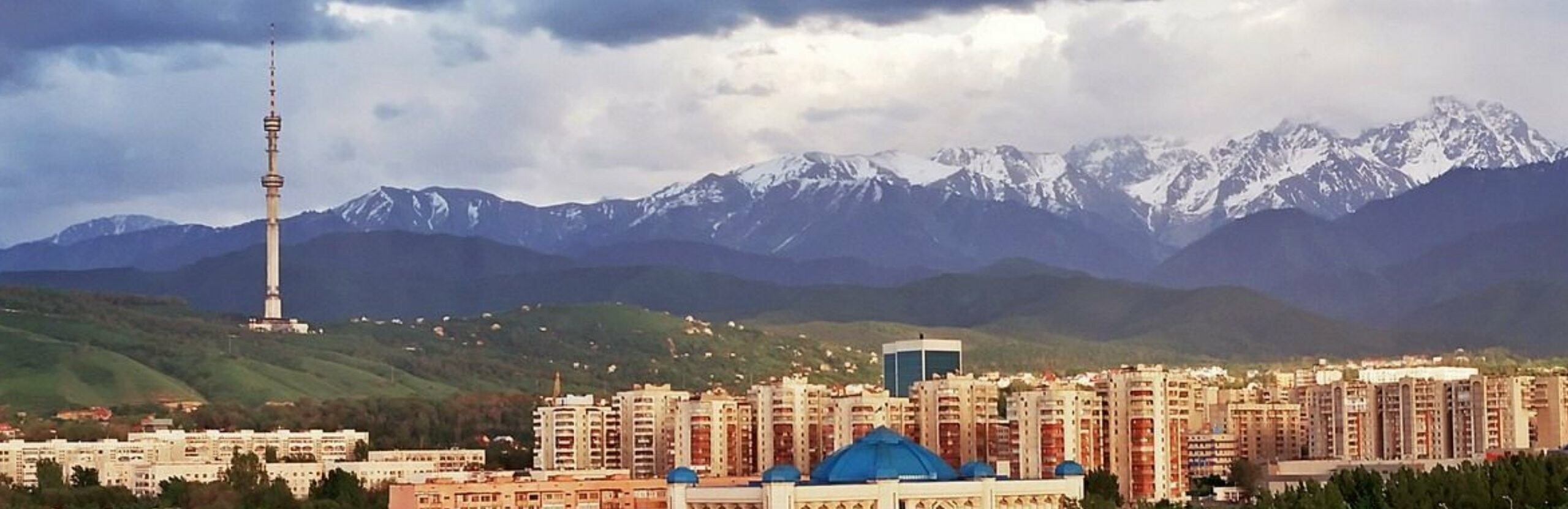 ������� ������ � ������ �� 24 ������