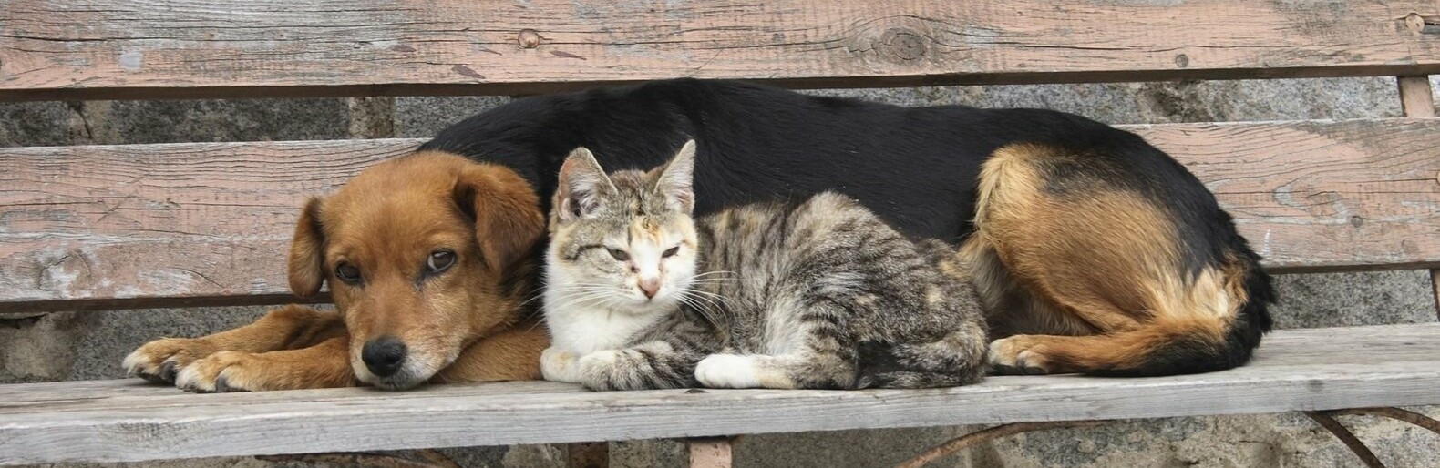 ����: inalmaty.kz