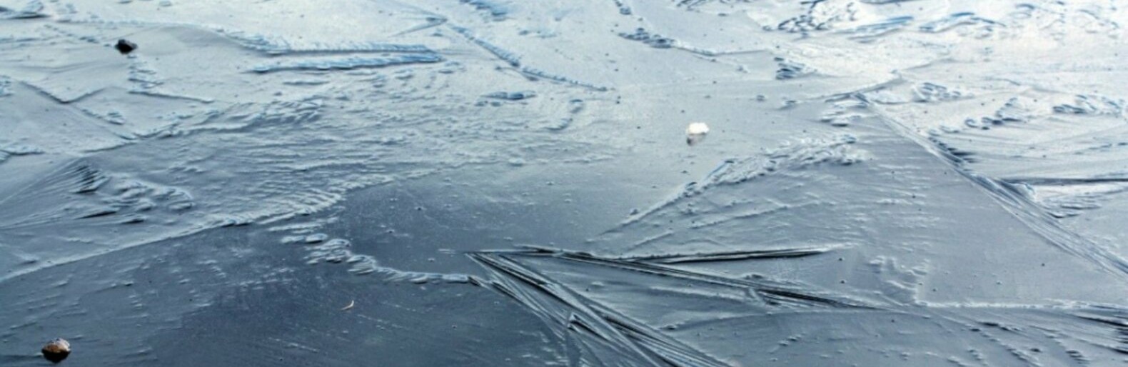 ����: inalmaty.kz