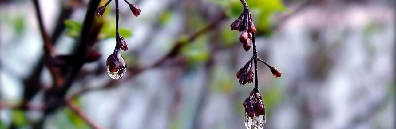 ����: inalmaty.kz