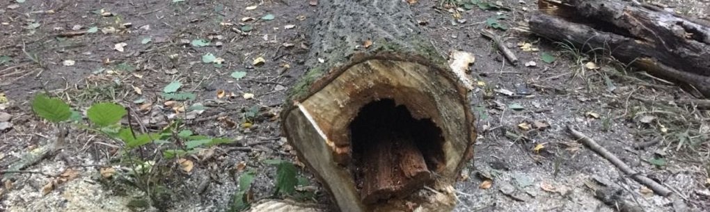 ����: inalmaty.kz