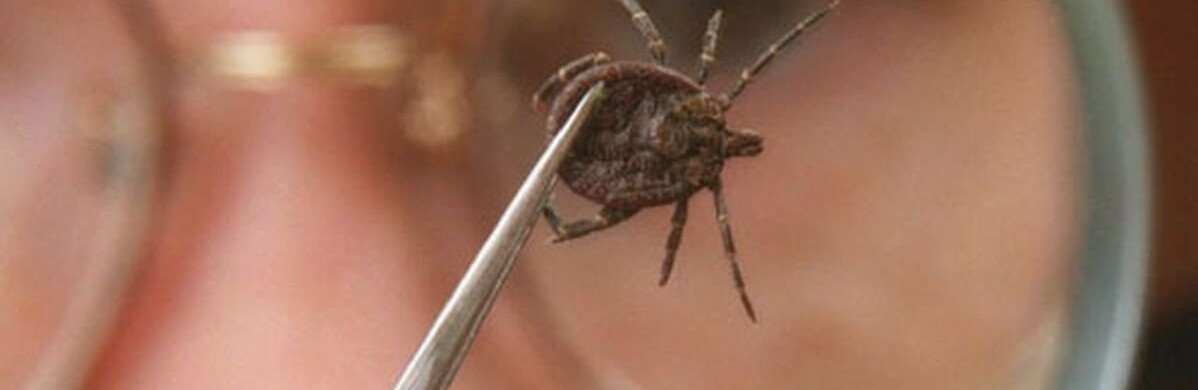 ����: inalmaty.kz