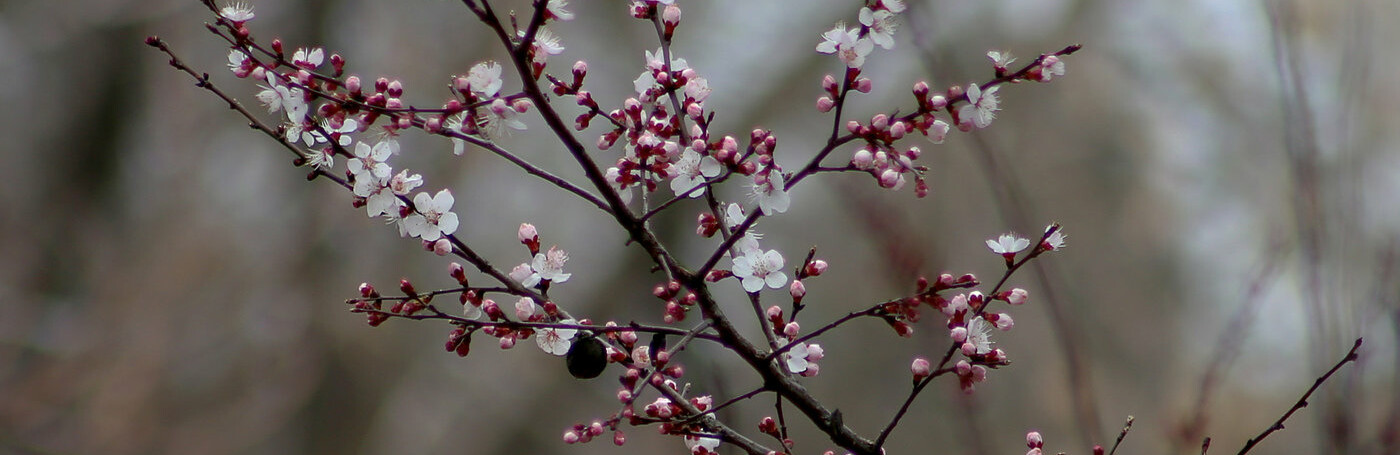 ����: inalmaty.kz