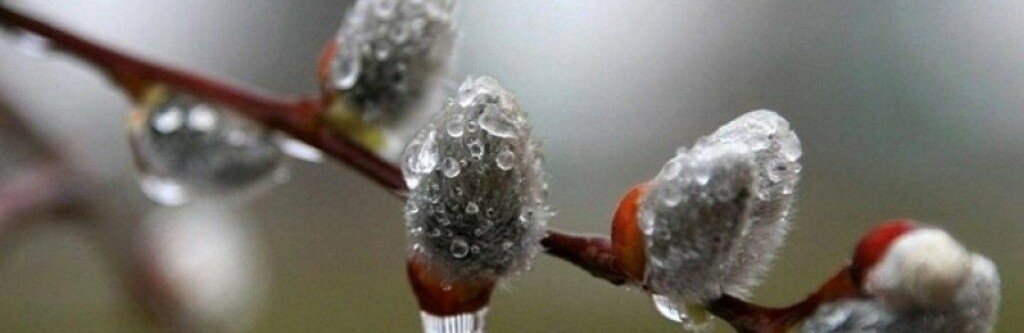 ����: inalmaty.kz