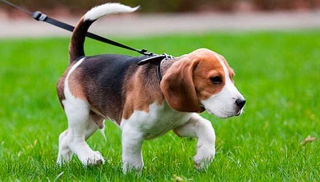 ����: inalmaty.kz