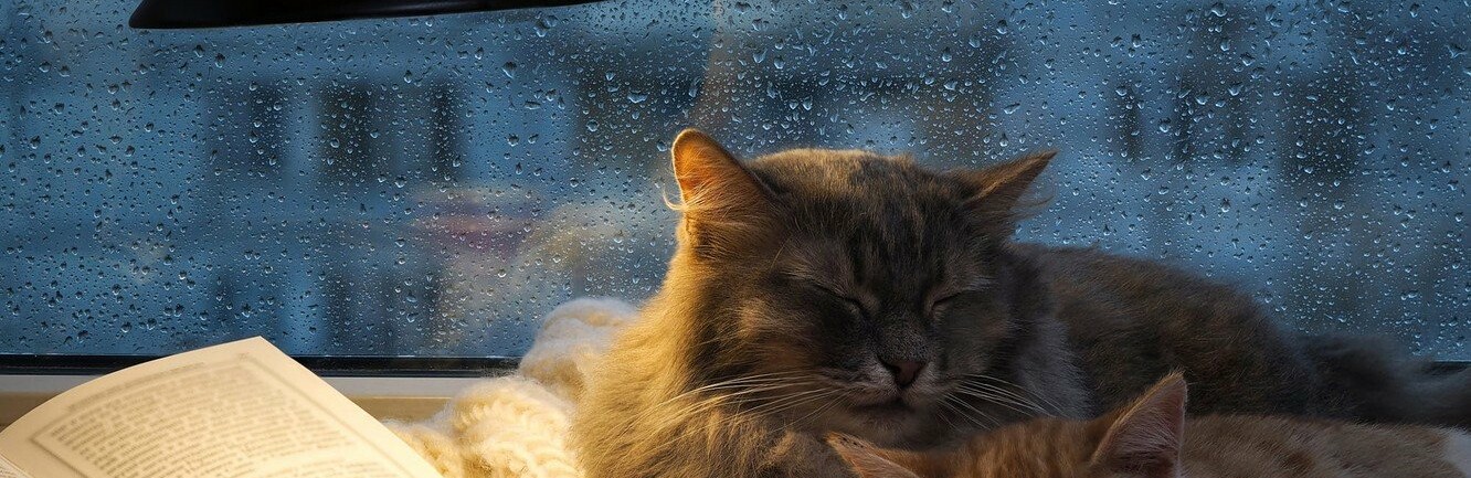 ����: inalmaty.kz