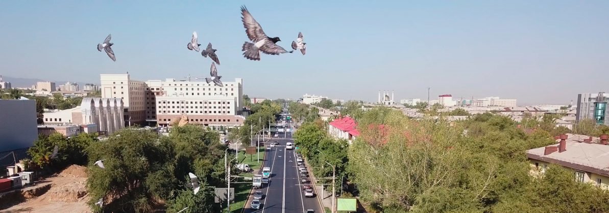 ����: inalmaty.kz