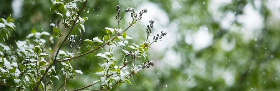 ����: inalmaty.kz