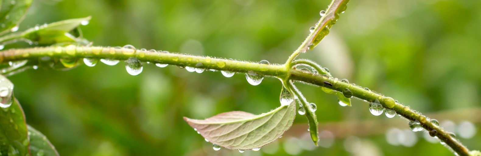 ����� ����������� 17 ������ � ������