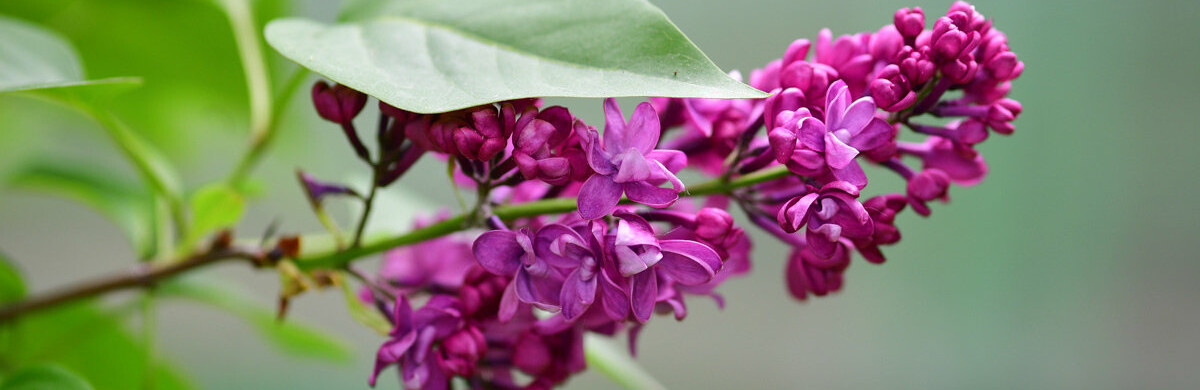 ����: inalmaty.kz