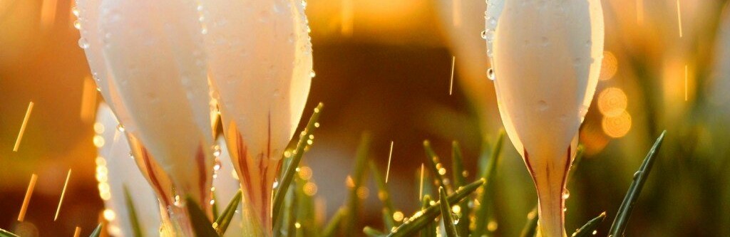 �������� +24 ����� ��������� 19 ������ � ������