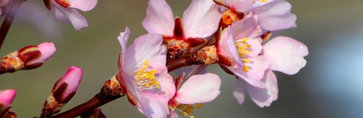 ��������� ���������� � ������ �� �������� � ������