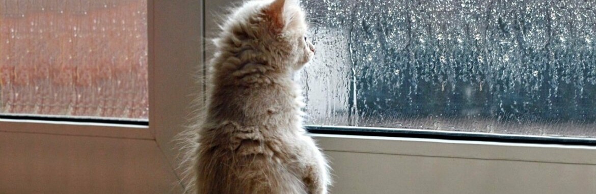 ����: inalmaty.kz