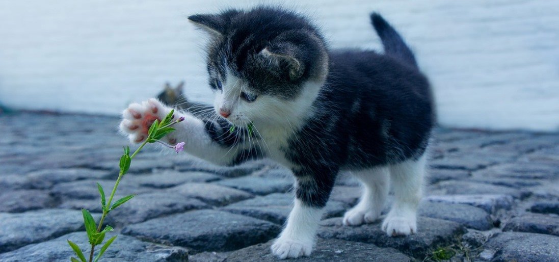 ����: inalmaty.kz