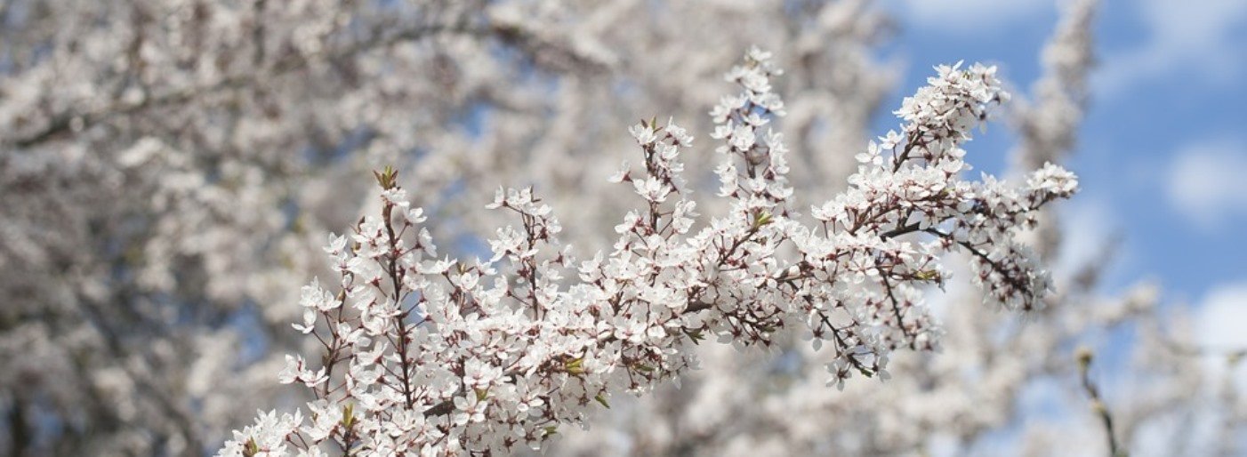  ��� ���������� ����� ��������� 