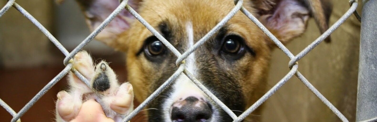 ����: inalmaty.kz