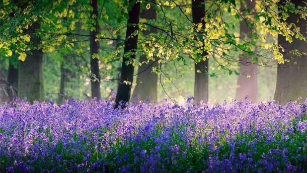 ����: inalmaty.kz