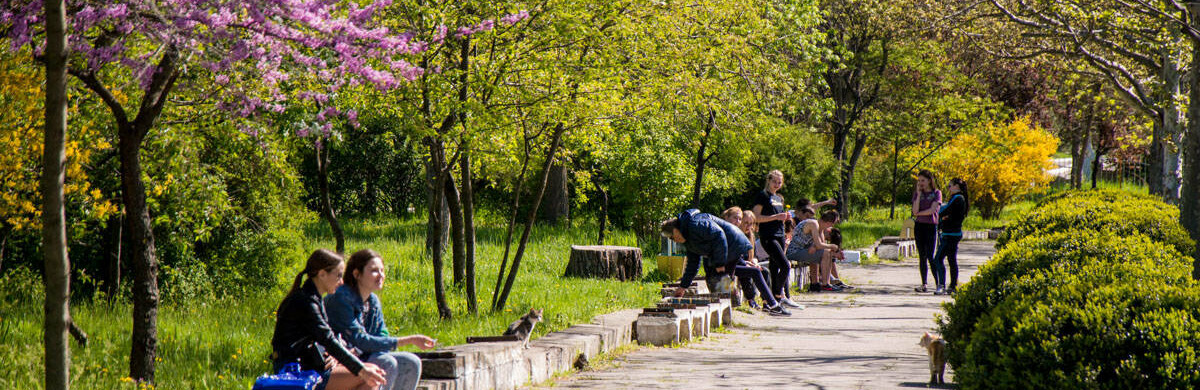 �� +29 �������� ����� ��������� 10 ��� � ������