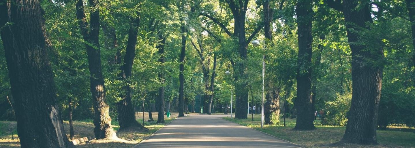 � ������ ���� ����� ����������