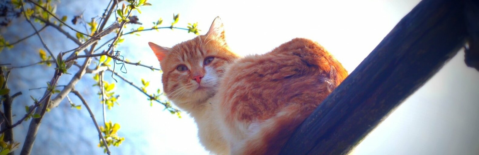 ����: inalmaty.kz