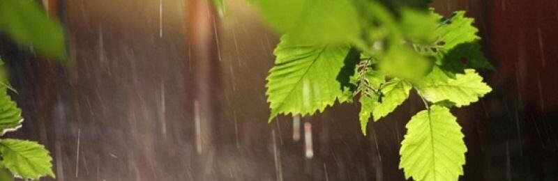 ��������� ���������� � ������ �� �������� 18-19 ���