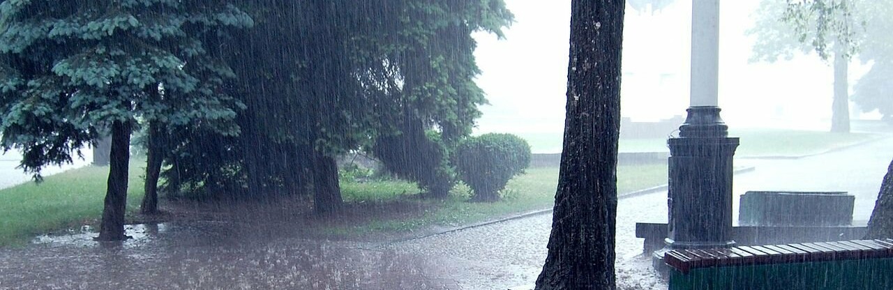 ����: inalmaty.kz