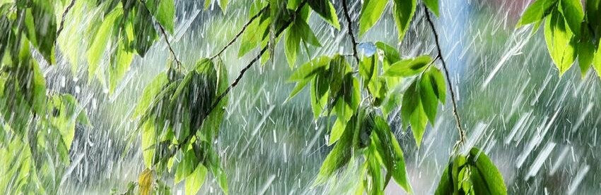 ����: inalmaty.kz